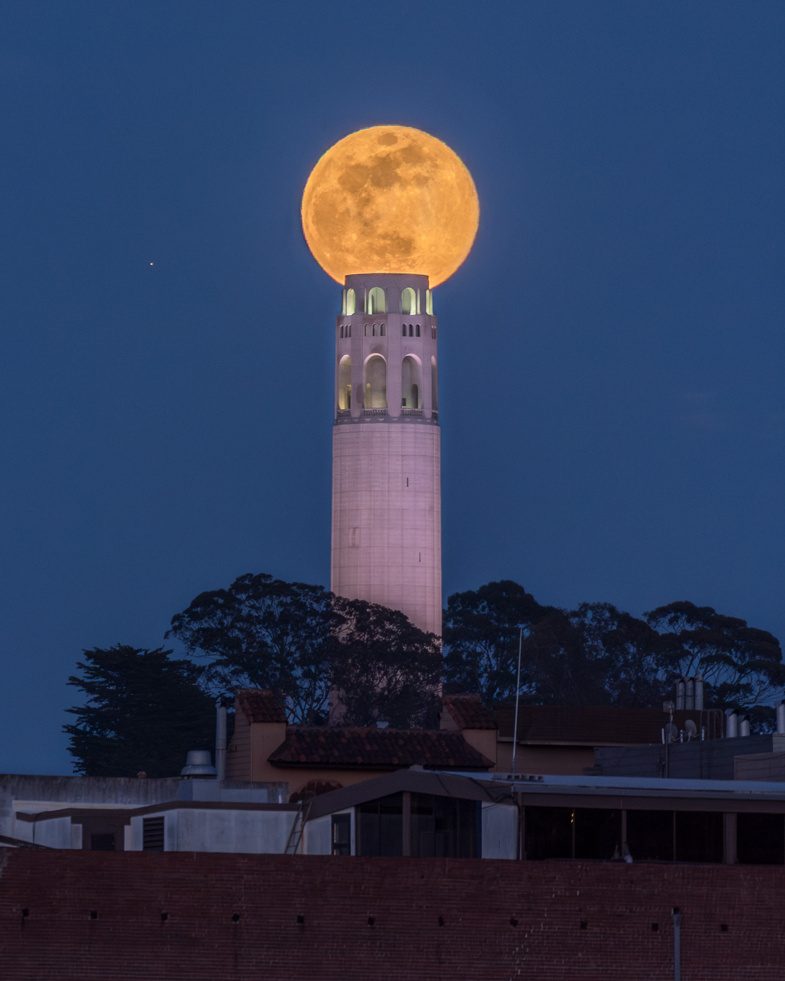 Coit Tower Candle