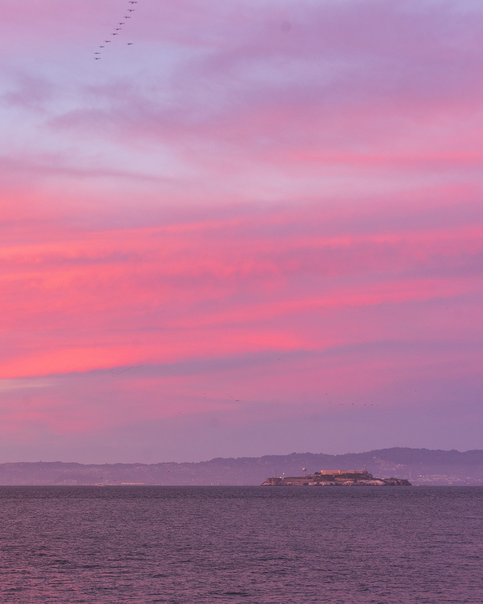 Alcatraz Island